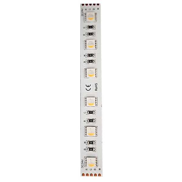 Bande LED professionnel RGBNW 20W/m 24V – Image 2