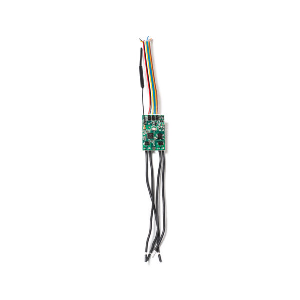 Shelly Uni – Image 7